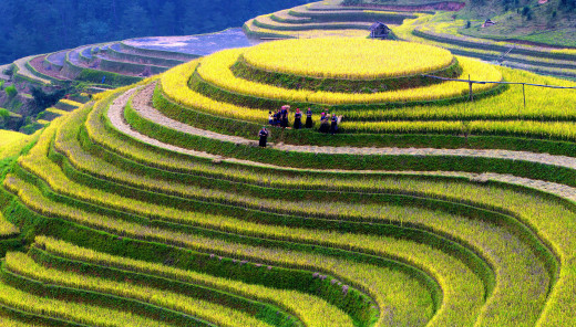 876300 (a): :2950x1675